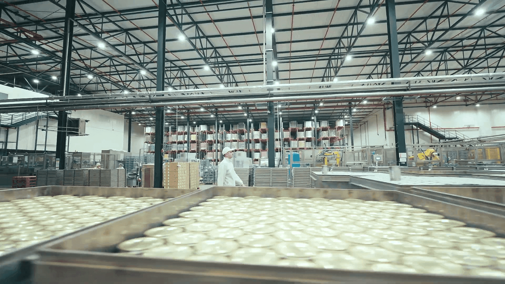 Modern pet food production facility