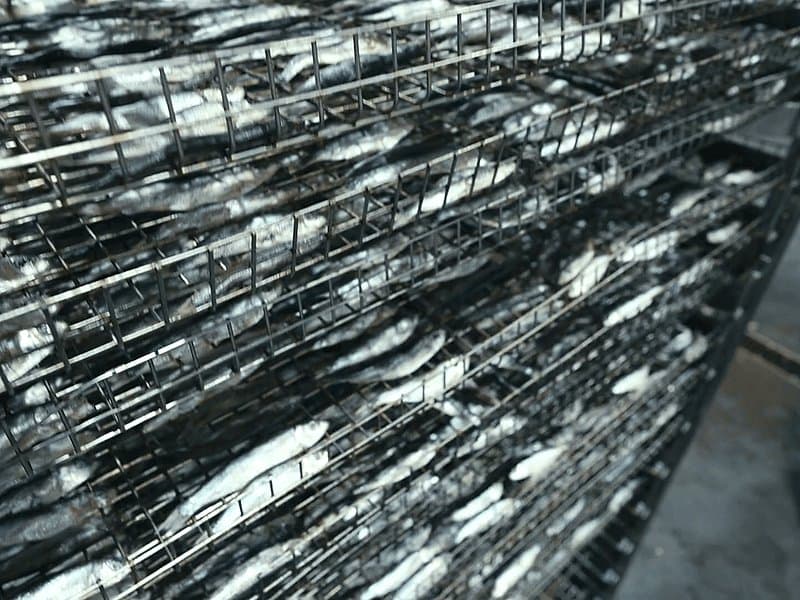Ethical ingredient sourcing