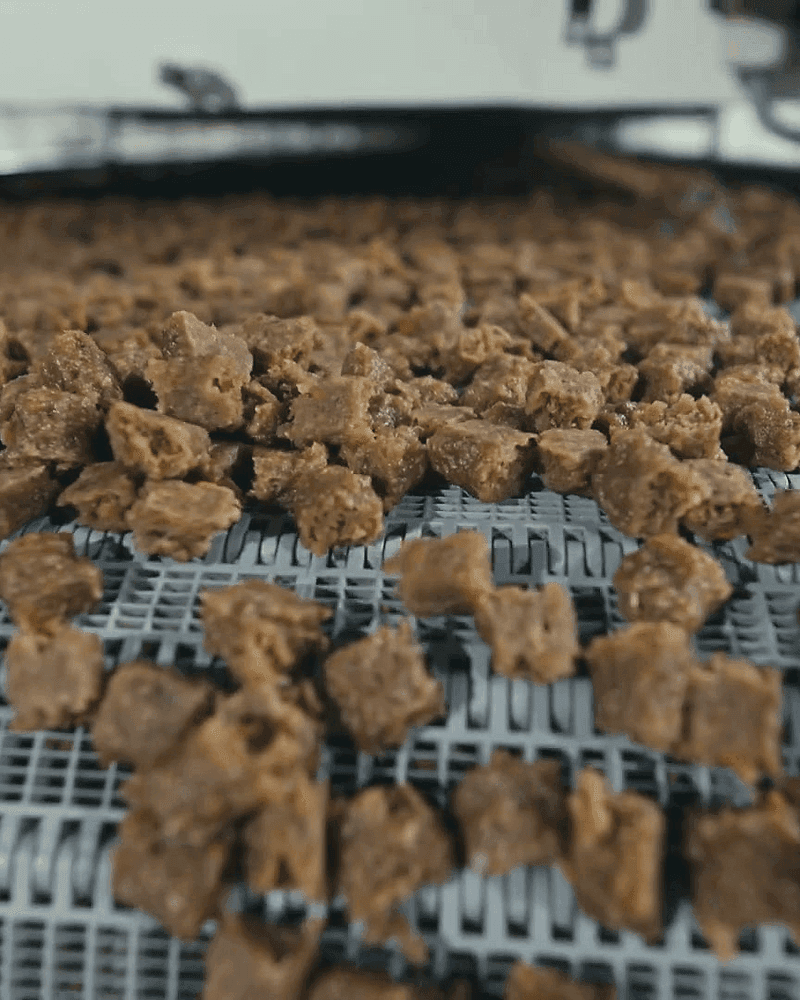Premium dry pet food kibble