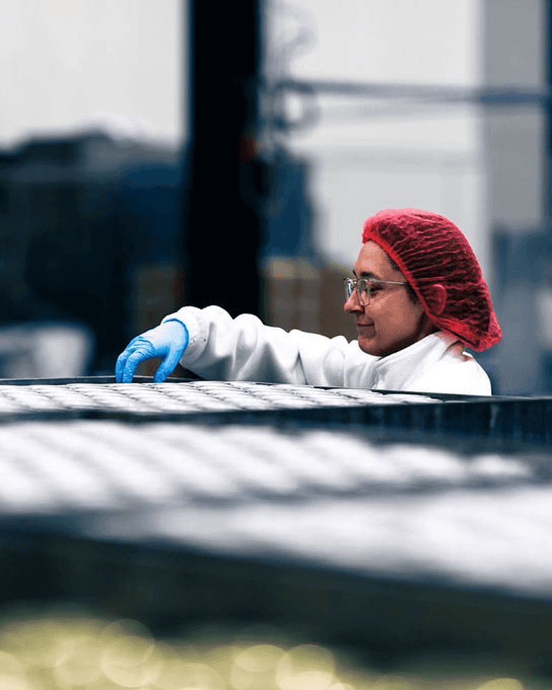 Production & Engineering